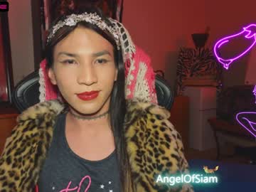 [31-05-23] angelofsiam record private show video from Chaturbate.com