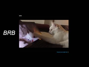 [18-02-22] jennyhall chaturbate webcam video