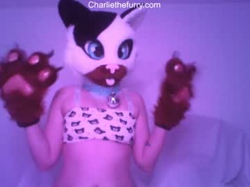 [26-02-22] charliethefurry record cam show from Chaturbate