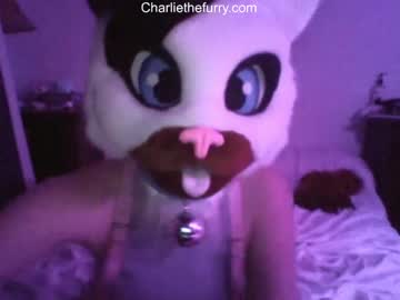 [27-03-22] charliethefurry record blowjob show from Chaturbate