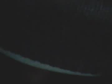 [16-11-22] wildwheel webcam video