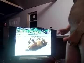 [23-07-23] dobermanbutthole chaturbate webcam video