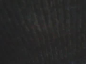 [03-10-22] wildwheel private webcam