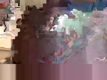 [29-09-23] plainsight4 public webcam